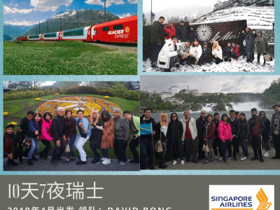2019 Apr Switchland